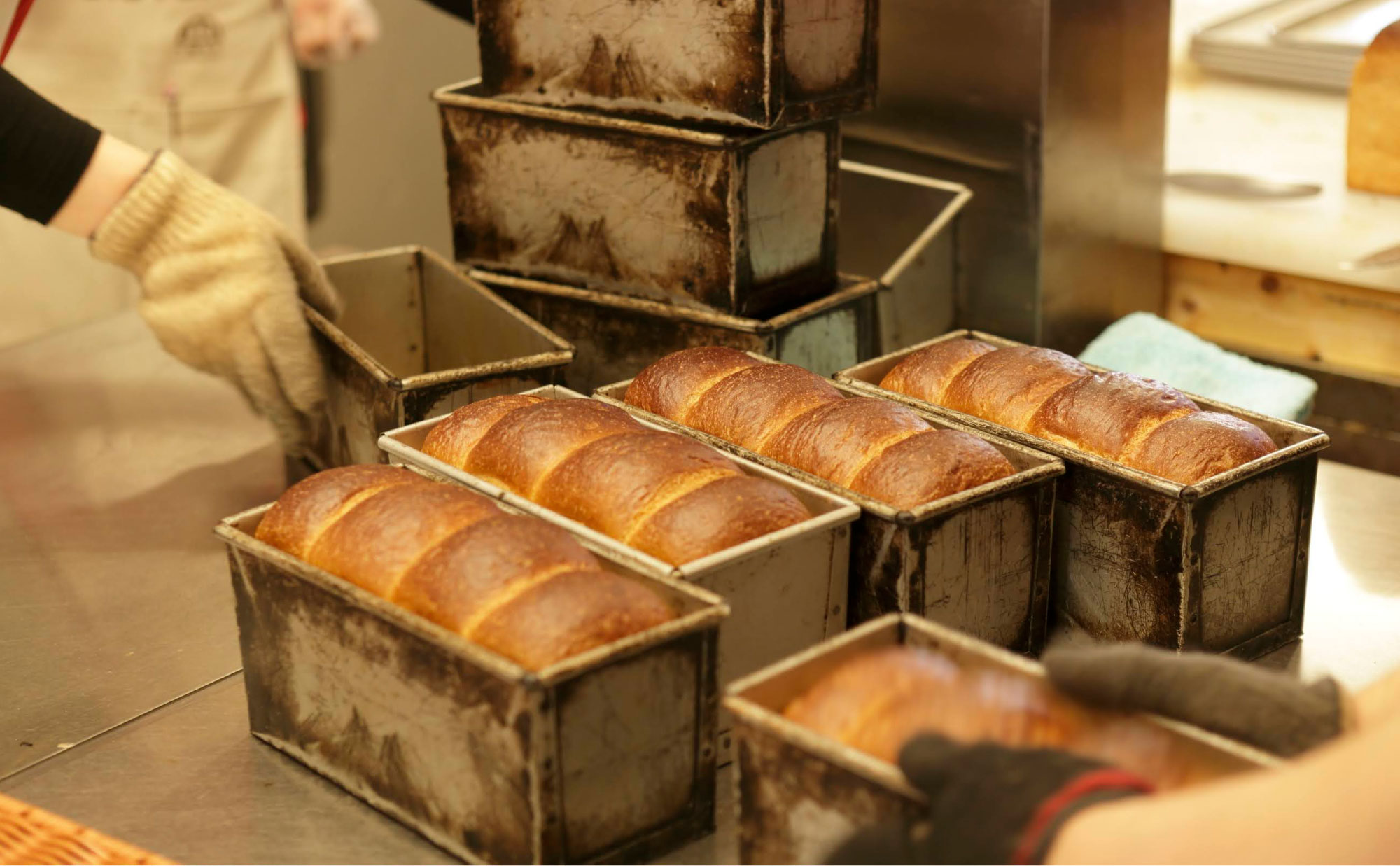 パンのトラ 焼き上がりの様子